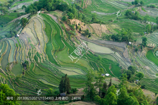 云南元陽(yáng)梯田,老虎嘴景區(qū)