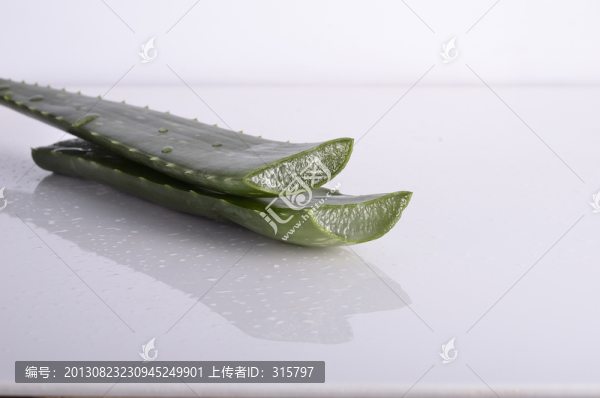蘆薈,創(chuàng)意蘆薈攝影