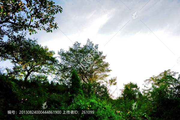 林州屋脊山