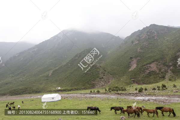 祁連山草原牧場(chǎng)