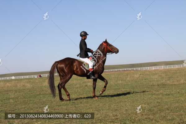 馬