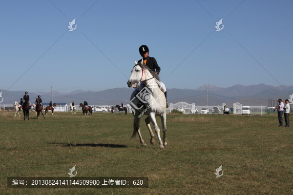 馬