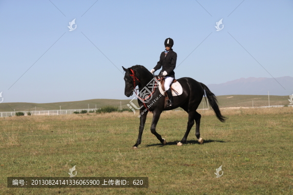 馬