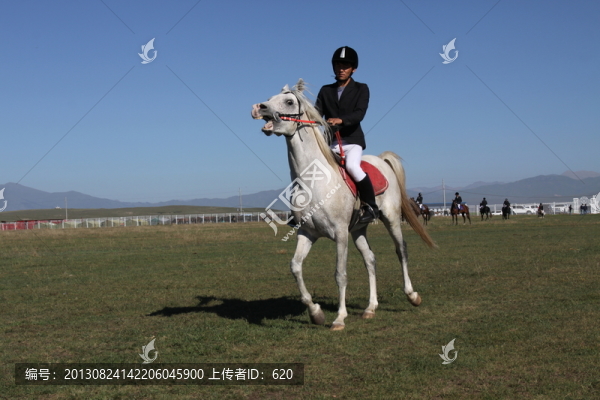 馬