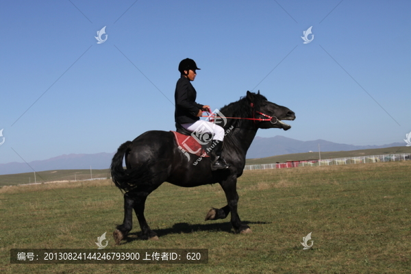 馬
