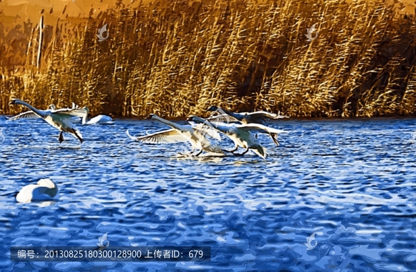 抽象畫(huà),,天鵝