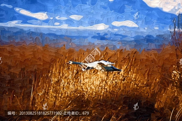 抽象畫(huà),,天鵝