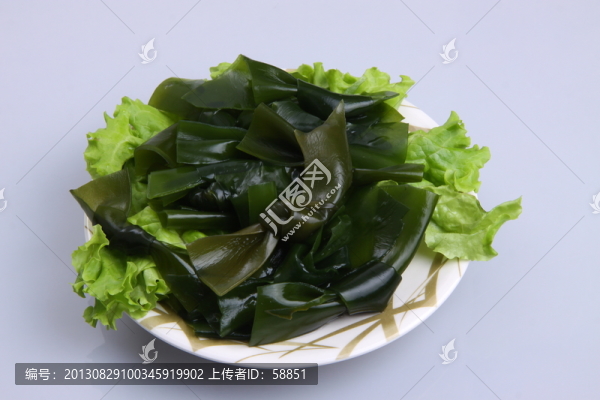 海菜