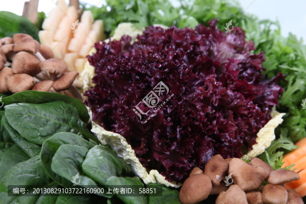 火鍋食材