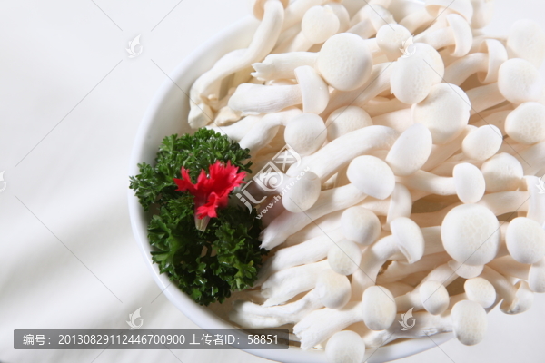 涮火鍋的蘑菇