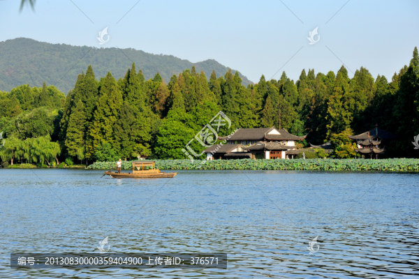 西湖,曲院風(fēng)荷,早晨,初秋