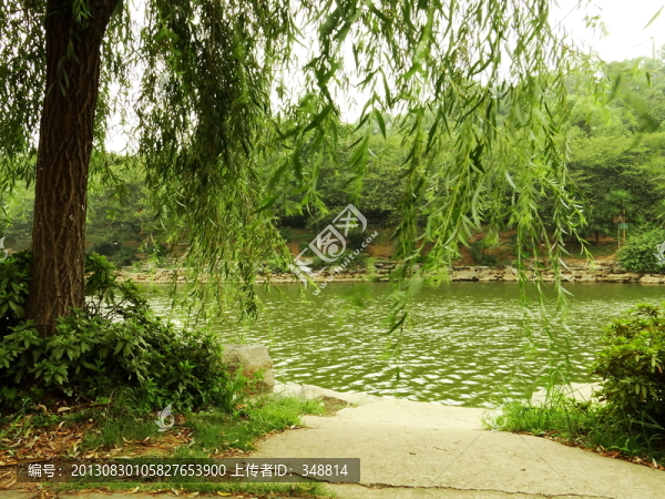 湖泊水景