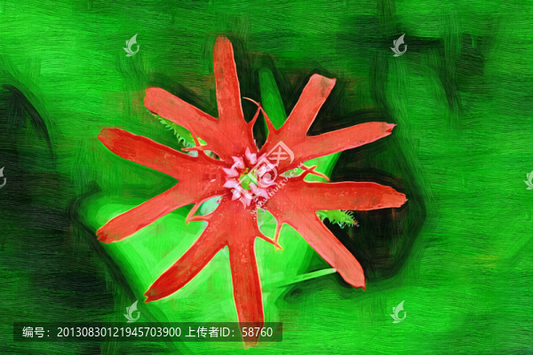 山花之韻,電腦油畫