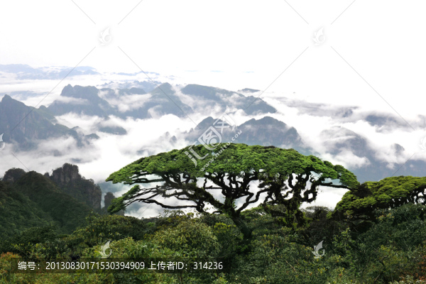 金秀圣堂山