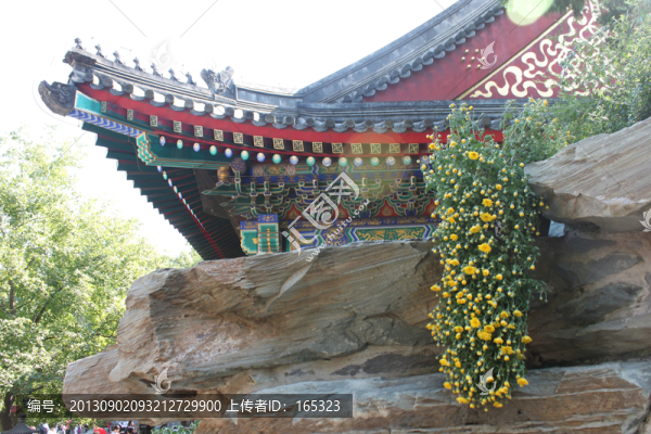 屋檐