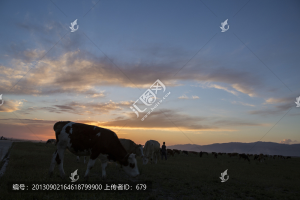 夕陽