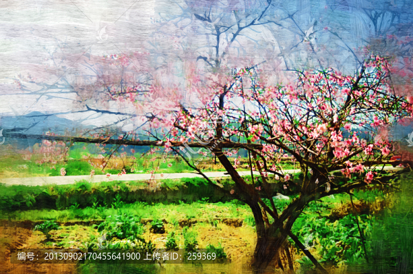 桃花裝飾畫