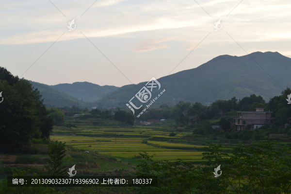 田園田野