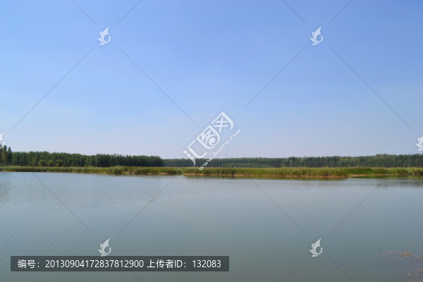東明黃河森林公園