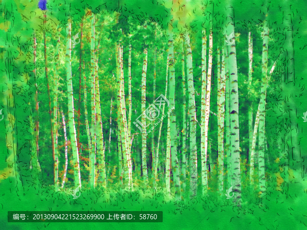 白樺林之夏,電腦畫