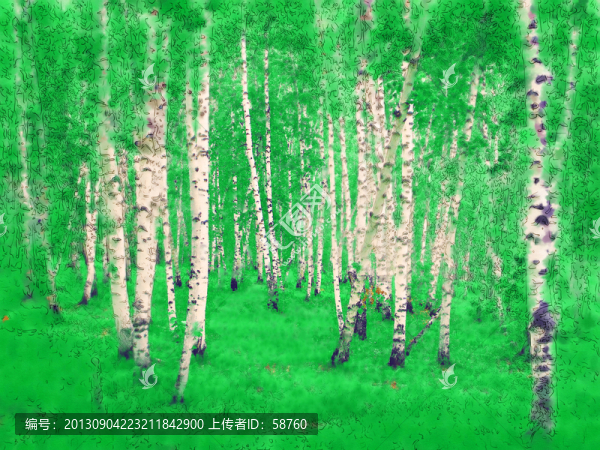白樺林之夢(mèng),電腦水彩畫(huà)