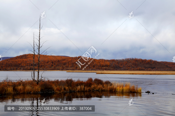 杜鵑湖