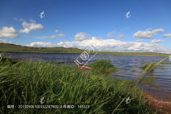 青青河邊草