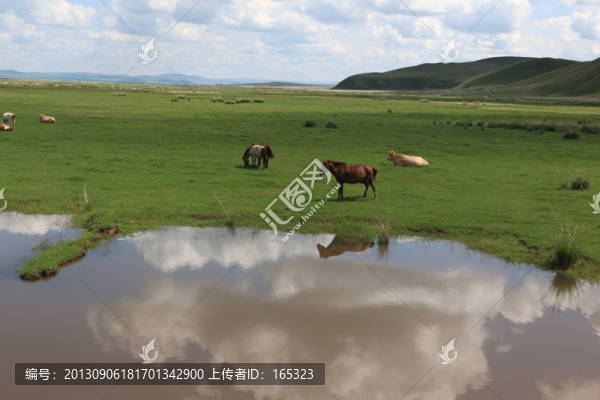 濕地公園