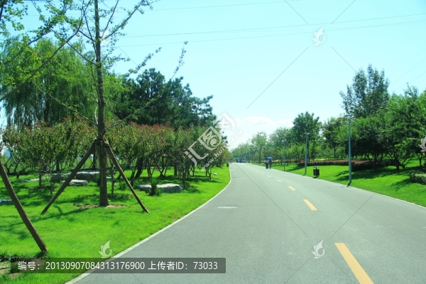 園博會大道