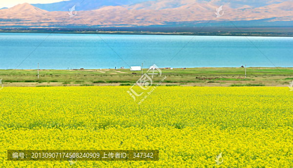 青海湖