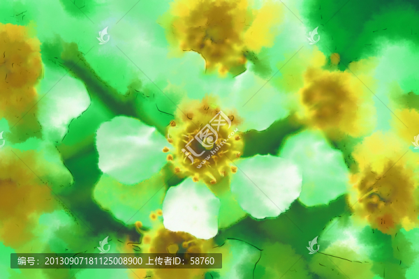 花朵,電腦水彩畫