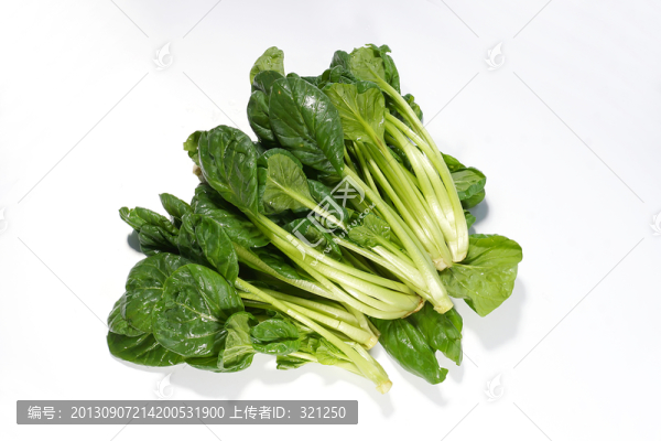 菠菜