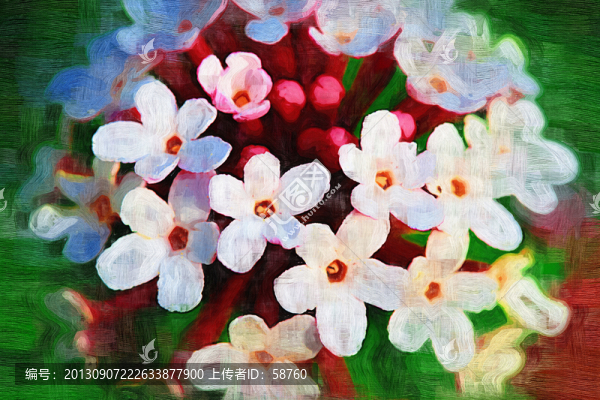 花之韻,電腦油畫
