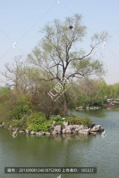 大明湖一角