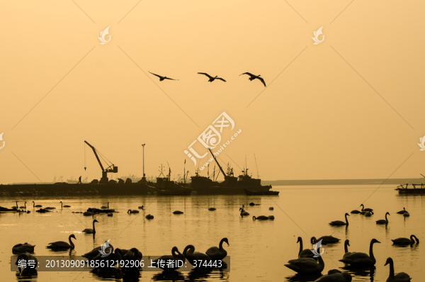 天鵝湖黃昏