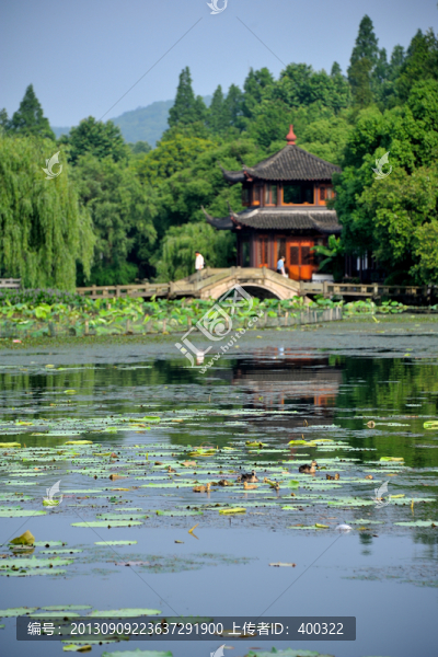 杭州,西湖,曲院風(fēng)荷,早晨