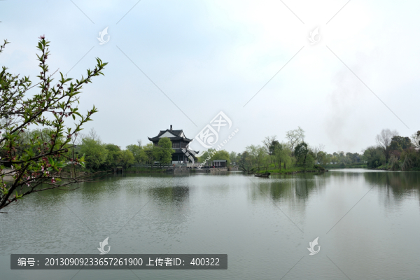 杭州,西溪,春季,濕地,公園