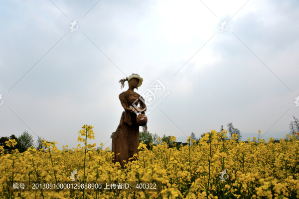 杭州,西溪,春季,油菜花,濕地