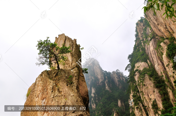 黃山奇石
