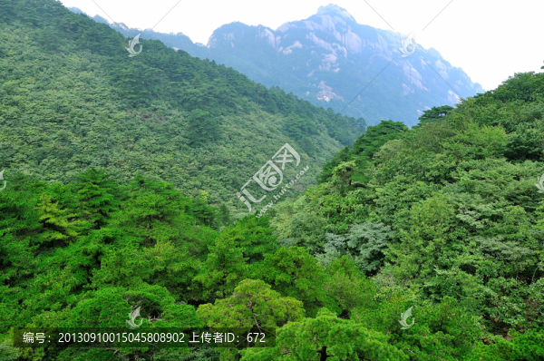 黃山奇峰