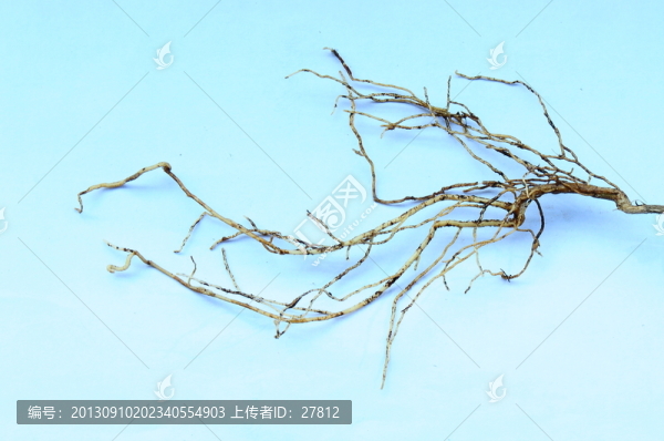 根須