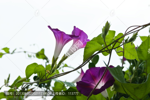 牽?；? title=