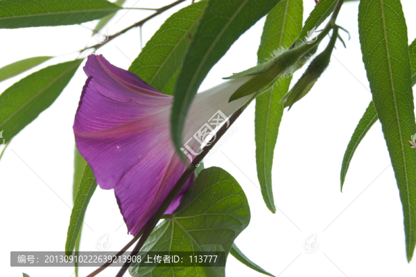 牽?；? title=