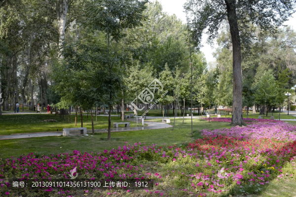 公園