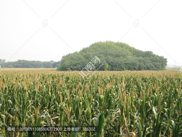 鞏縣北宋皇陵之永昌陵