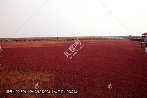 盤錦紅海灘