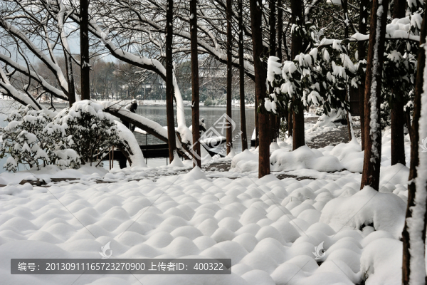 西湖,楊公堤,茅家埠,雪景
