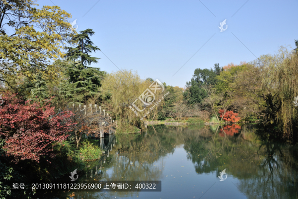 西湖,花港觀魚,秋季,彩林,倒