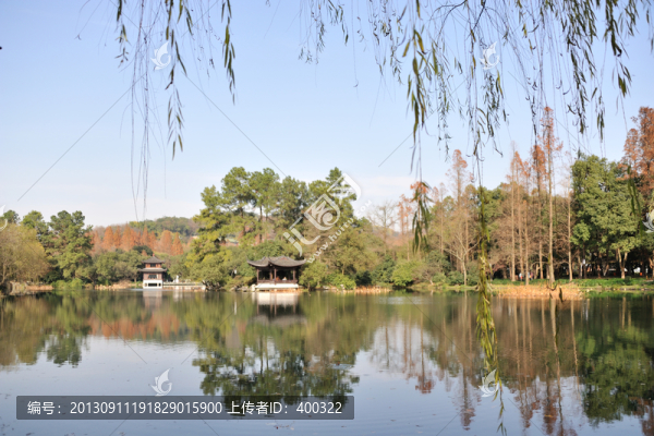 杭州,曲院風(fēng)荷,秋季,草坪,湖