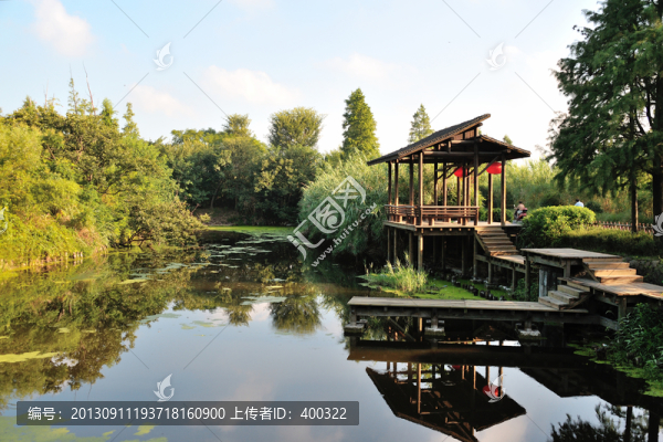 杭州,西溪,公園,夏天,早晨